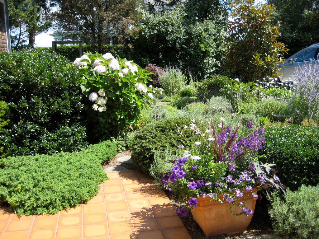 Tea Lane Nursery - Landscape Design, Organic Landscaping, & Maintenance