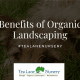 Benefits of Organic Landscaping (1)