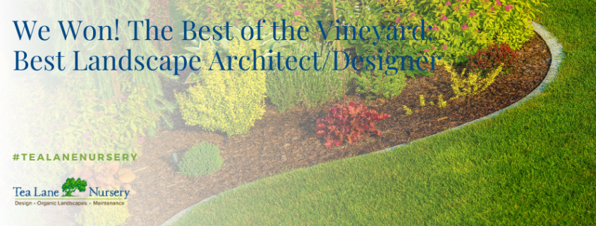 best landscape architect, best landscape designer