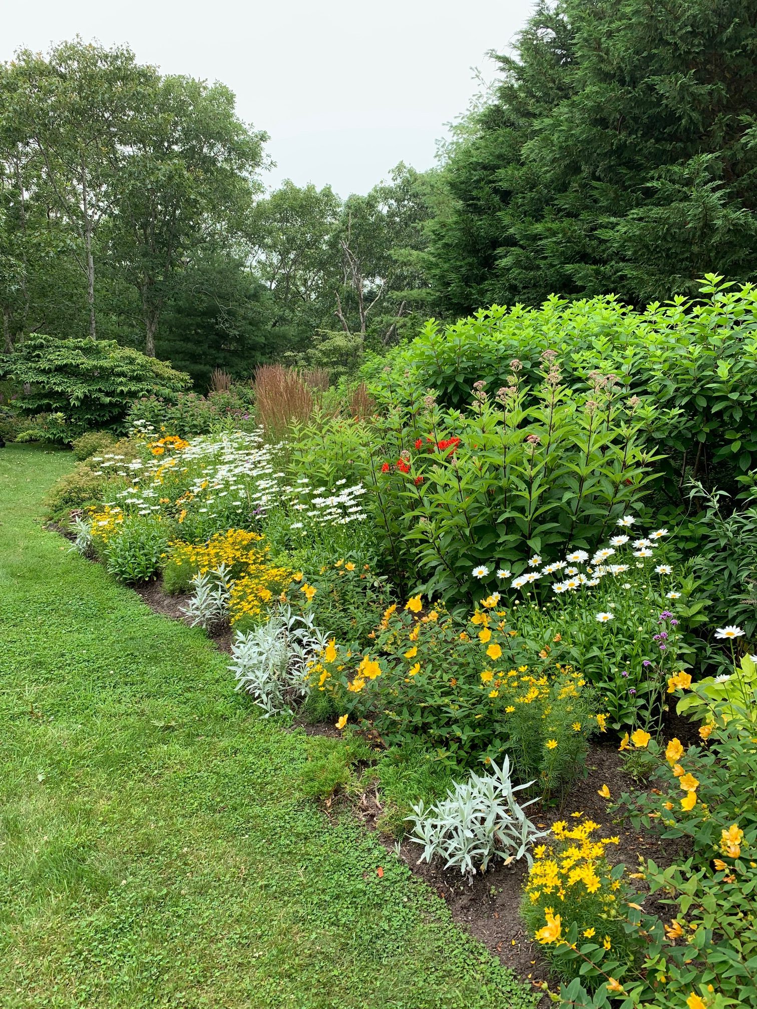 Create An Organic Landscape