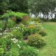 guide to Martha's Vineyard landscaping