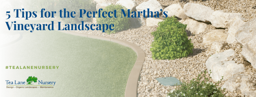 5 Tips for the Perfect Martha’s Vineyard Landscape