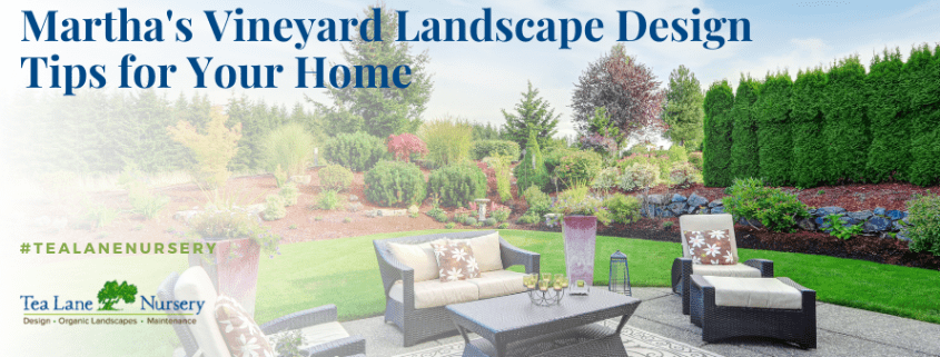 Martha's Vineyard Landscape Design Tips for Your Home