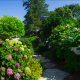 Native Plants of Martha's Vineyard: How to Incorporate Them Into Your Landscape Design