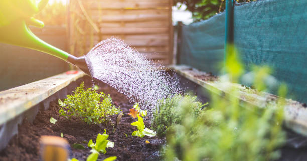 Boosting Property Values With Landscaping: Insights From Tea Lane Nursery