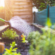 Boosting Property Values With Landscaping: Insights From Tea Lane Nursery